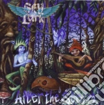 Skylark - After The Storm cd