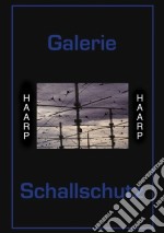 Galerie Schallschutz - Haarp