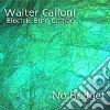 Walter Calloni - No Budget cd