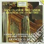 Musica Per Organo Tedesca cd