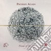 Phoenix Again - Friends Of Spirit cd