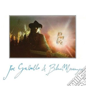 Joe Galullo & The Blues Messengers - It's My Life cd musicale di Joe Galullo & Blue M