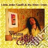 Little John Guelfi & The Blues Train - Vittima Del Blues cd