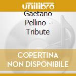 Gaetano Pellino - Tribute cd musicale