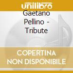 Gaetano Pellino - Tribute cd