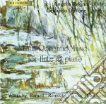 Musica Tardo Romantica Per Flauto E Piano /angelo Ragno Flauto, Gerlando Dalfone Piano. cd