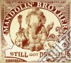 Mandolin' Brothers - Still Got Dreams cd