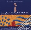 Riccardo Tesi - Acqua Foco E Vento cd