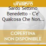 Sardo Settimo Benedetto - C'e' Qualcosa Che Non Va cd