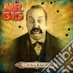 Mr. Big - The Stories We Could Tell cd