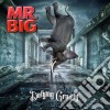 Mr. Big - Defying Gravity cd