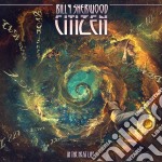 Billy Sherwood Citizen - In The Next Life