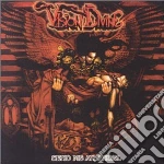 Vision Divine - Send Me An Angel cd
