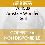 Various Artists - Wonder Soul cd
