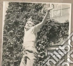Arto Lindsay - Encyclopedia Of Arto (2 Cd) cd