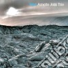 Amato Jazz Trio - Well cd