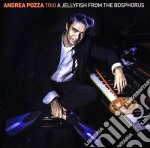 Andrea Pozza Trio - Jellyfish From Bosphorus