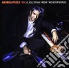 Andrea Pozza Trio - Jellyfish From Bosphorus cd