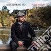 Andrea Domenici Trio - Playing Who I Am cd