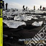 Francesco Fiorenzani - Silent Water