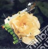 Massimo Trottà - Newborn Flower cd musicale di Massimo Trotta
