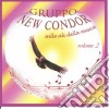 Gruppo New Condor - Sulle Ali Della Musica Vol.2 cd