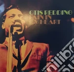 (LP Vinile) Otis Redding - Pain In My Heart vinile