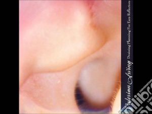 Valerian Swing - Draining Planning For Ears Reflectors cd musicale di VALERIAN SWING