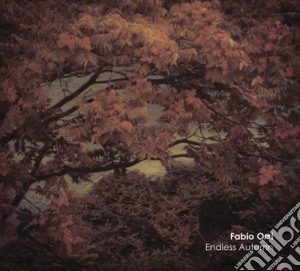 Fabio Orsi - Endless Autumn cd musicale di Fabio Orsi