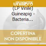 (LP Vinile) Guineapig - Bacteria (Colour Vinyl) vinile