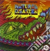 Laidback Luke Vs Example - Natural Disaster (Cd Single) cd