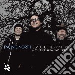 Claudio Filippini Trio - Facing North