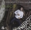 Alessandro Lanzoni - Seldom cd