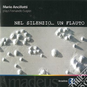 Fernando Sulpizi - Nel Silenzio Per Flauto Solo (2 Cd) cd musicale di Sulpizi Fernando