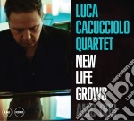 Luca Cacucciolo Quartet - New Life Grows