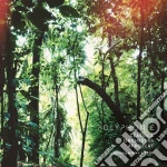 Classica Orchestra Afrobeat - Polyphonie cd