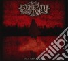 Beneath The Storm - Evil Reflection cd