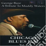 (Music Dvd) Chicago Blues Jam - Vol.3 cd
