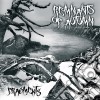 Remnants Of Autumn - Fragments cd
