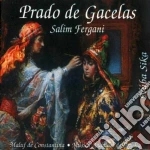 Salim Fergani - La Noria De Los Modos cd