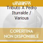 Tributo A Pedro Iturralde / Various cd musicale