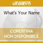 What's Your Name cd musicale di Artisti Vari
