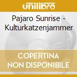 Pajaro Sunrise - Kulturkatzenjammer cd musicale di Pajaro Sunrise