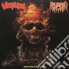 (LP Vinile) Whiplash / Released Anger - Split (7") cd