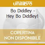 Bo Diddley - Hey Bo Diddley! cd