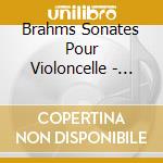 Brahms Sonates Pour Violoncelle - Amy Norring, Piet Kuijken cd