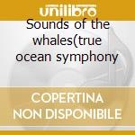 Sounds of the whales(true ocean symphony cd musicale di Gregor Theelen