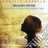 Daniele Garella - Healing River cd