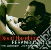 David Hazeltine Trio - Perambulation cd