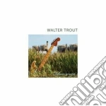 (LP VINILE) Common ground cd